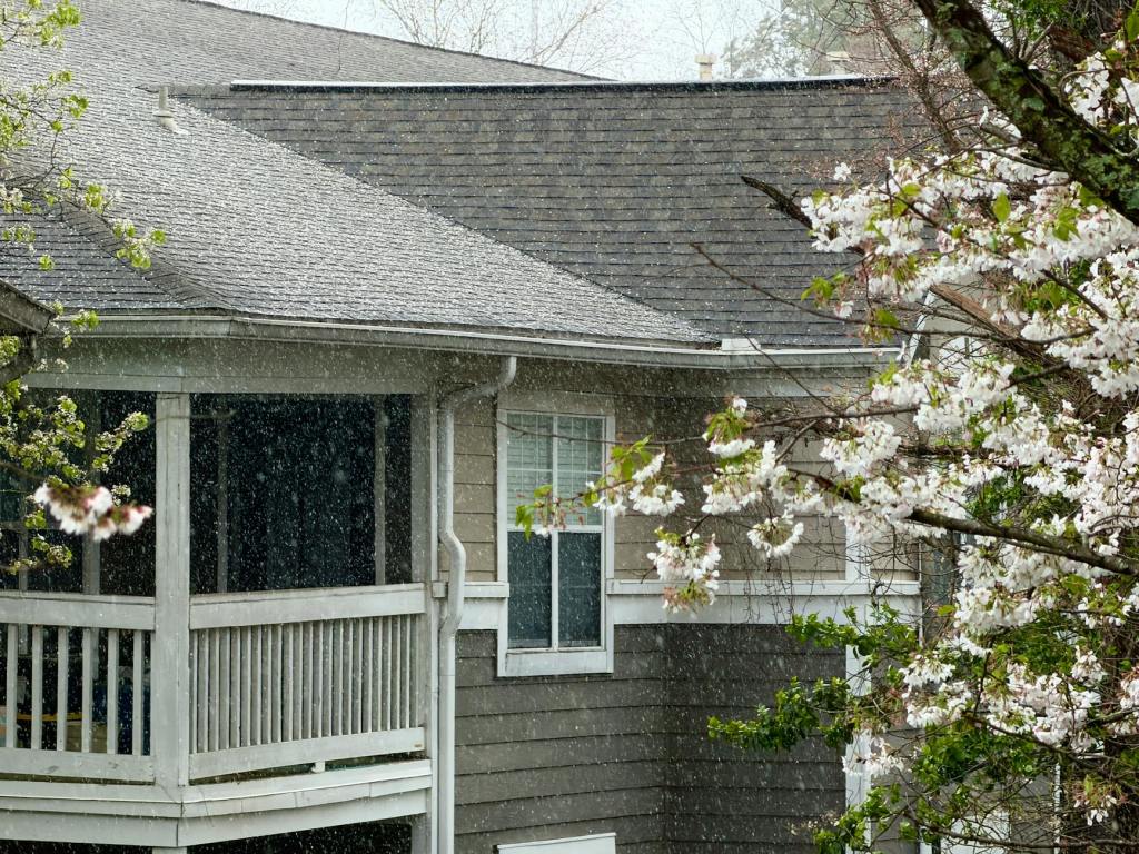 After the Storm: A Homeowner’s Guide to Roof Recovery and&nbsp;Protection
